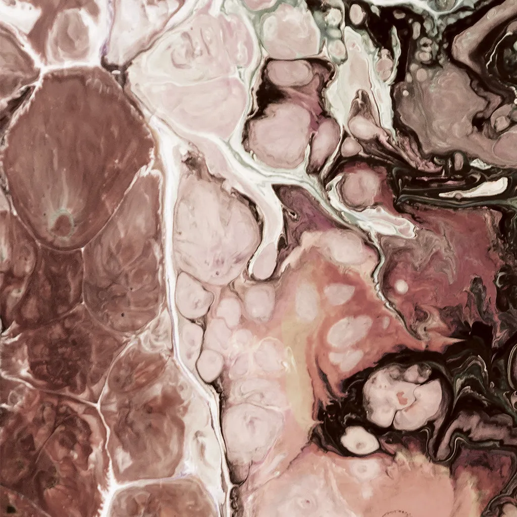 Sepia Elements