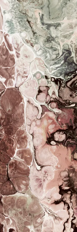 Sepia Elements